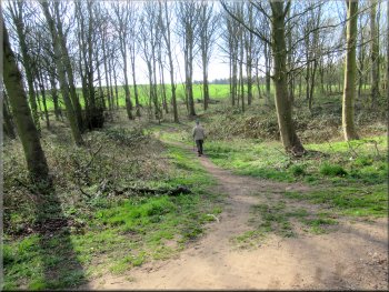 Joining a wider path from Parlington Lane