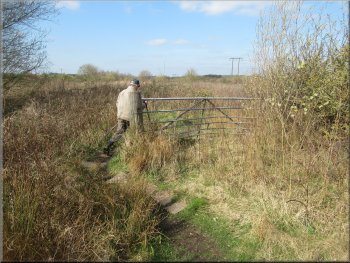 Gate out of the field into an area of scrubland