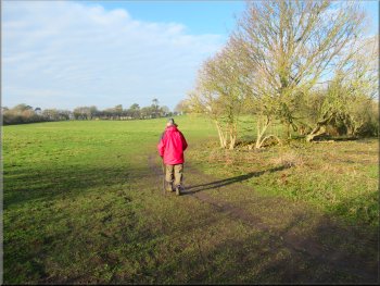 Path round some scrubland at the side of the field