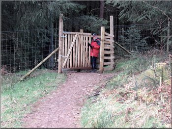 Passing through the second gate in the deer fence