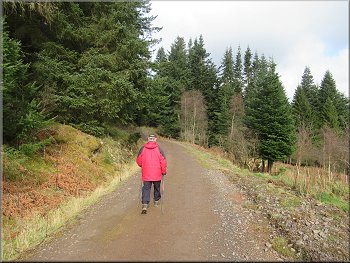 Following the Yellow Route along Castleknowe Road