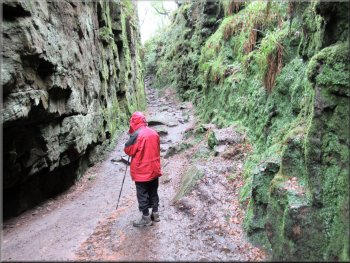Making our way along the bottom of the Lud‘s Church gorge