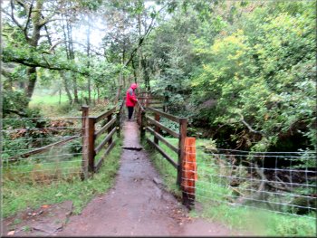 Crossing the footbridge over Black Brook