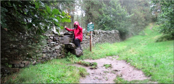 Crossing back over the stone step stile above the footbridge
