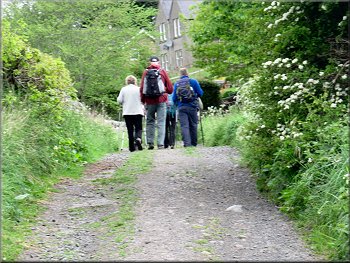 Track off the riverside path into Roxburgh