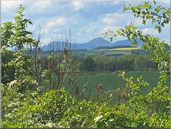 A distant view of the Eildon Hills near Melrose