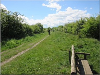 Continuing along the railway path towards Roxburgh