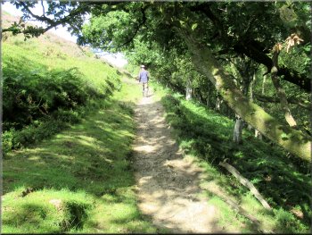 Following the path up Dundale Griff