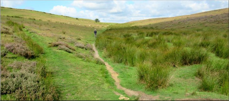 At the open moorland we kept to the right hand path at the fork heading for Dundale Pond