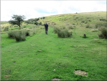 Grassy track from Dundale Pond towards Levisham
