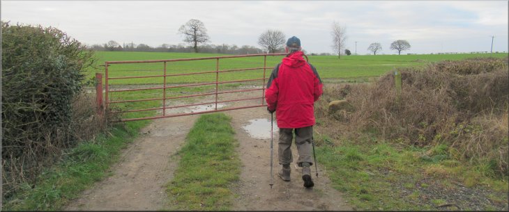 Gate to the fields on the access track from Bagby