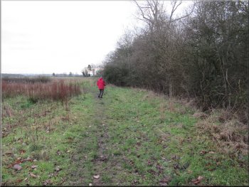 Bridleway at the field edge next to Pond Wood