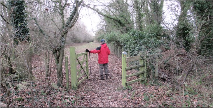 Bridleway gate on to the fenced woodland track