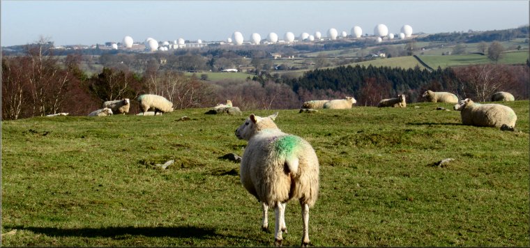 Looking across the Washburn Valley from a sheep pasture near Timble to the 'golf balls' of the Menwith Hill base