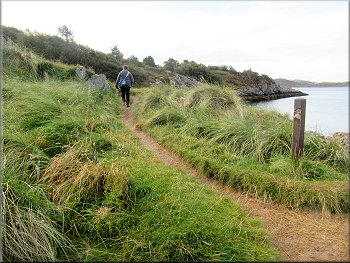 There was a good path leading up the headland
