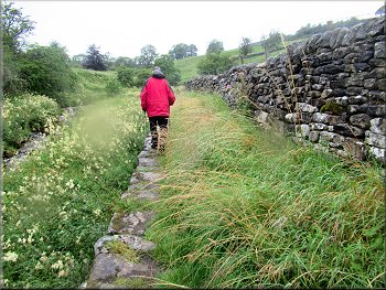 Path along the east bank of Hebden Beck