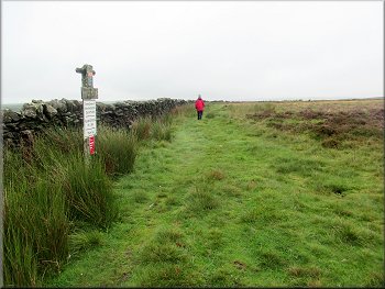 Path along Mossy Moor Ridge