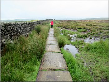 Paved path along Mossy Moor Ridge