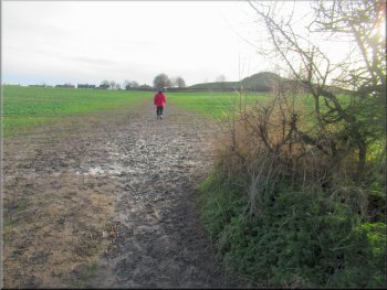 Muddy track across the field towards Sandal Castle