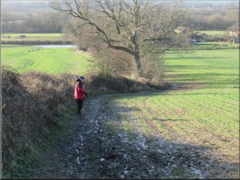 Path down the field edge towards Castle Farm