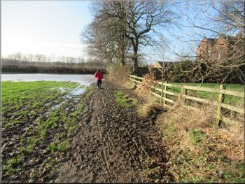 Flooded field next to Milnthorpe Lane