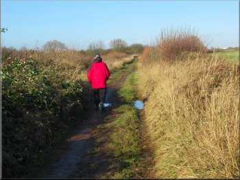 Continuing along the lane from Castle Farm