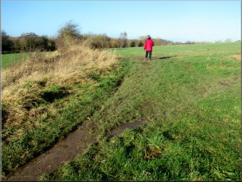 Taking the left fork in the paths towards Pugney's Drain