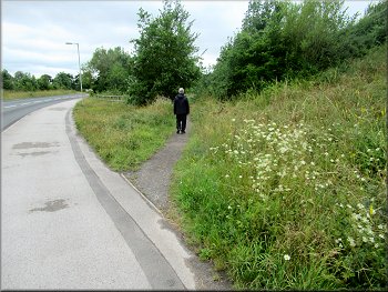 Path between the A64 embankment and a reed filled pond