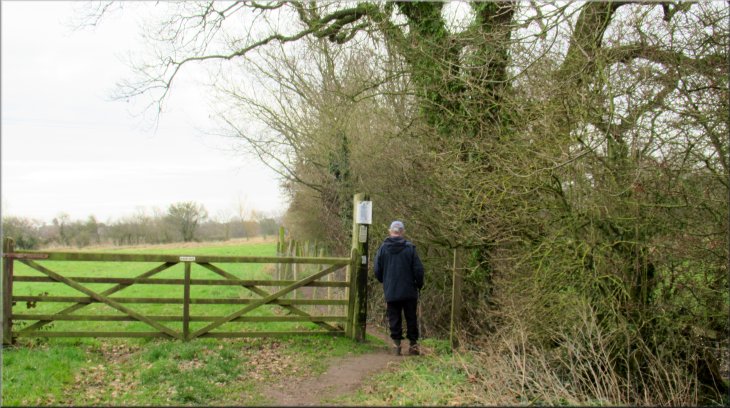 Narrow fenced path by the hedge at the right hand side of the track