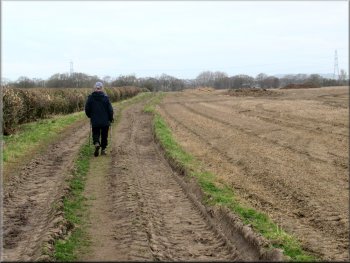 Path along a farm track heading towards Ox Close Lane