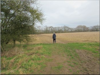 End of the hedge and a clear path across the open field ahead