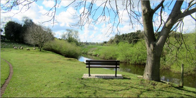 A lovely view point by the River Swale just before the path turns left up to the village street in Catton