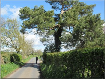 The road from Catton village
