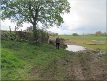 Following the footpath along the edge of the field