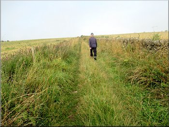 Track along the field edge towards Hutton-le-Hole