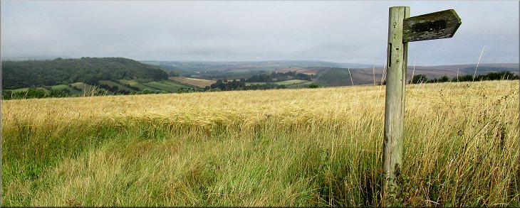 View from the end of the field over Douthwaite Dale