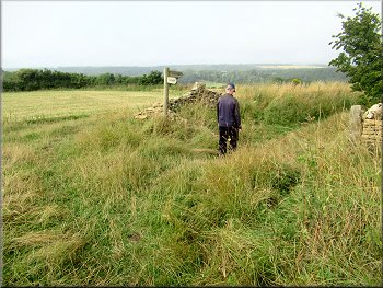 Path from the end of the field
