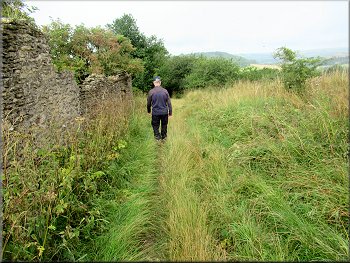 Path dropping down from the end of the field