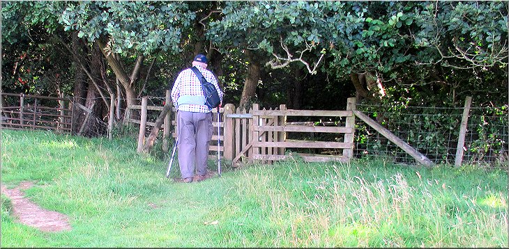 Kissing gate from the field path into the woodland