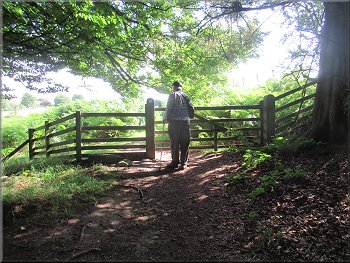 Gate from the woodland into some open access land